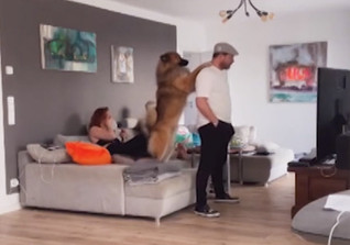  RTL Brüll-Couch Baumgart 