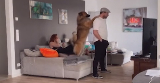  RTL Brüll-Couch Baumgart 