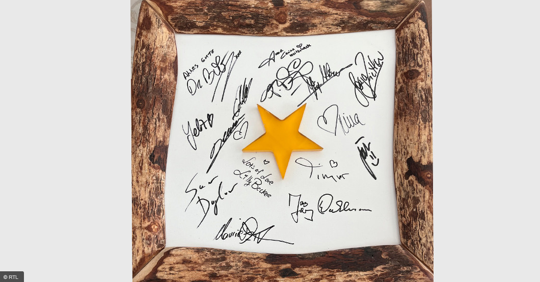 RTL Dschungel Stern   RTL Dschungel Stern