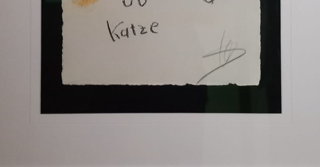  RTL Helge Schneider Katze 