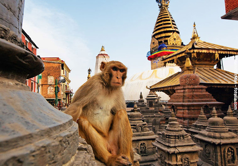  Rundreise durch Nepal 