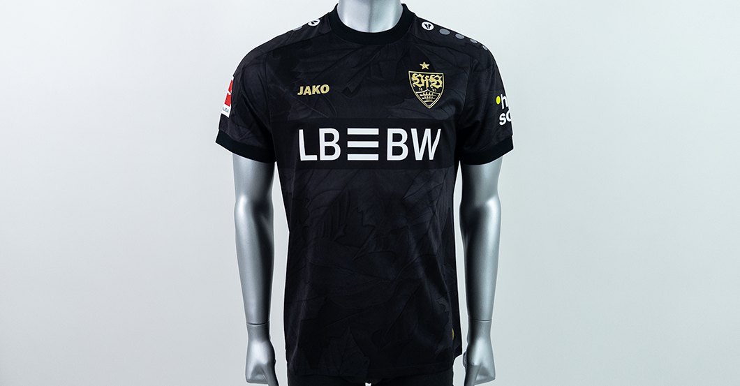  S4K Ausweich Demirović 