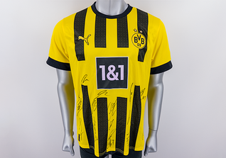  S4K BVB-Trikot signiert 