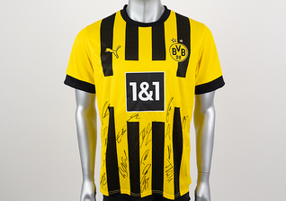  S4K BVB-Trikot signiert 