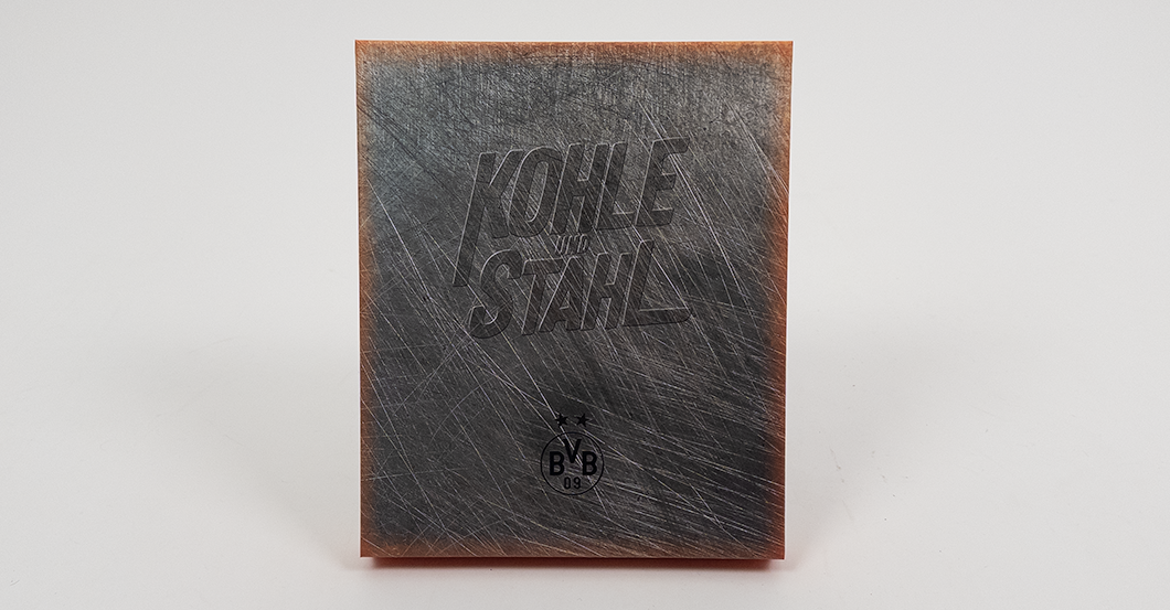 S4K Haller BVB-Trikot   S4K Haller BVB-Trikot