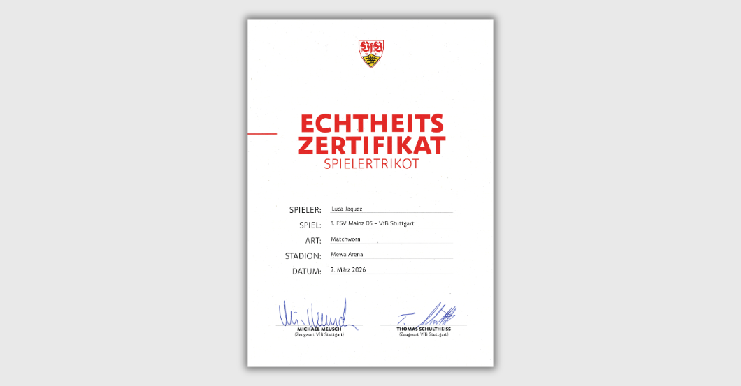  S4K Mainz VfB Jaquez 