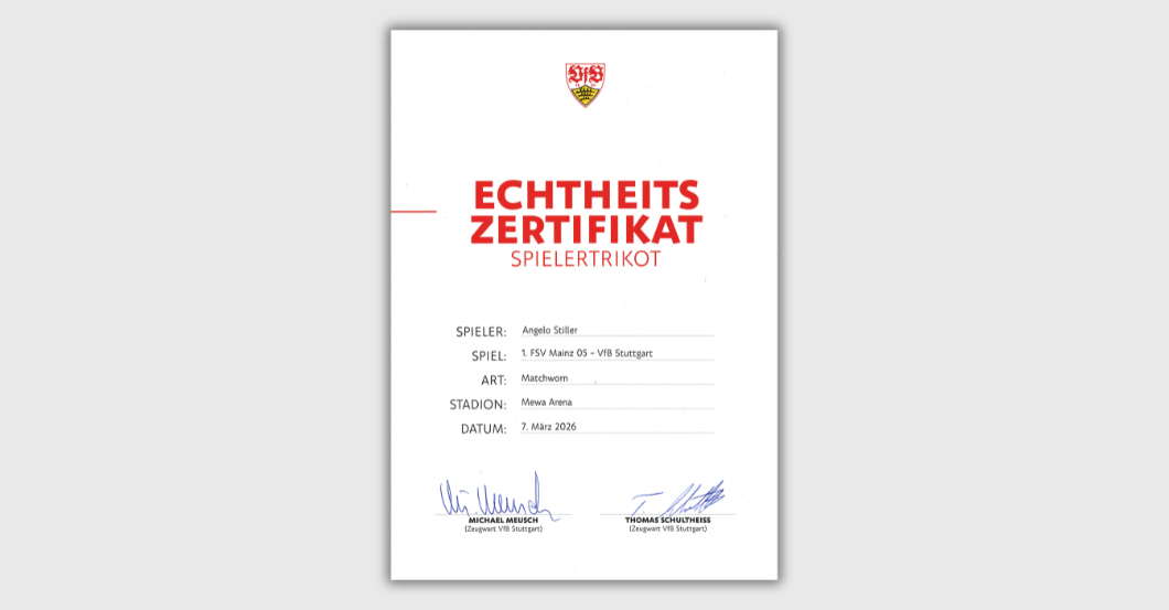  S4K Mainz-VfB Stiller 