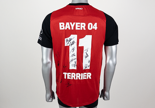 S4K Martin Terrier-Trikot 