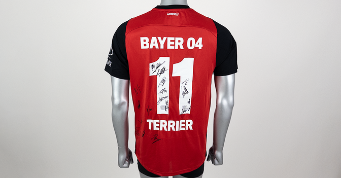 S4K Martin Terrier-Trikot   S4K Martin Terrier-Trikot