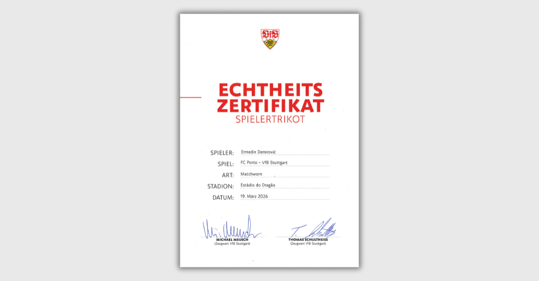  S4K Porto VfB Demirović 