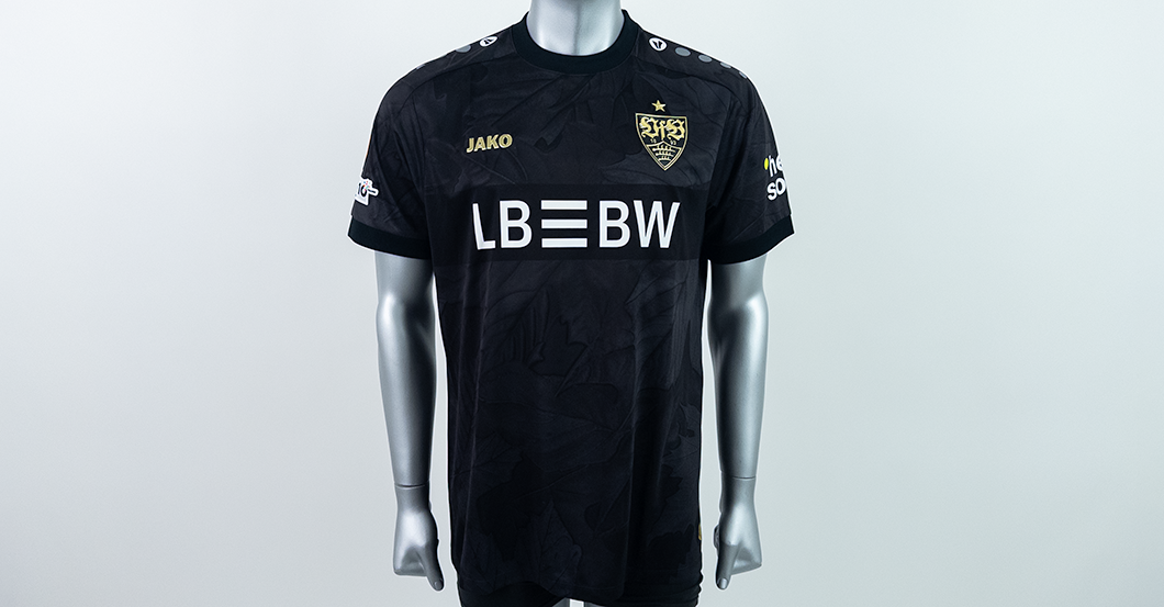  S4K VfB EL Demirović 