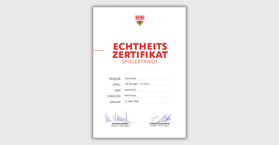  S4K VfB-Porto Jeltsch 