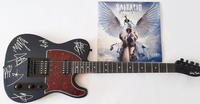  Saltatio Mortis Gitarre 
