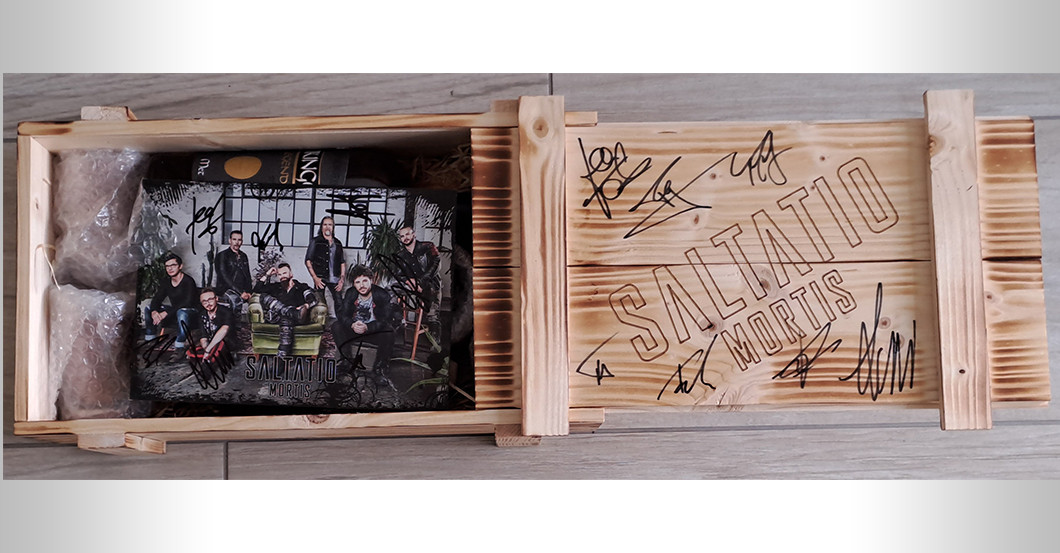 Saltatio Mortis Gitarre   Saltatio Mortis Gitarre