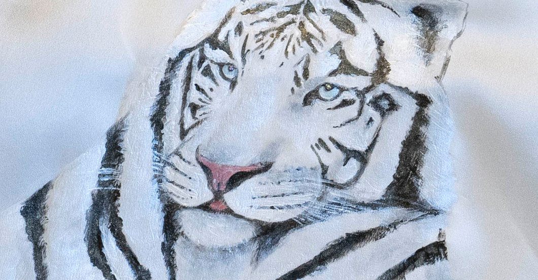 Schal Krawatte    Schal Krawatte