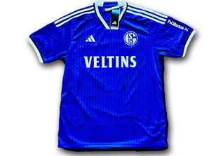  Schalke 04 Trikot Team 