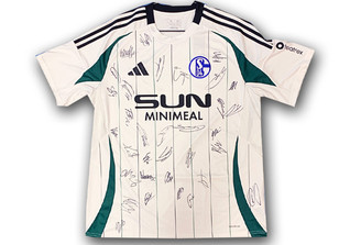  Schalke Trikot Team 