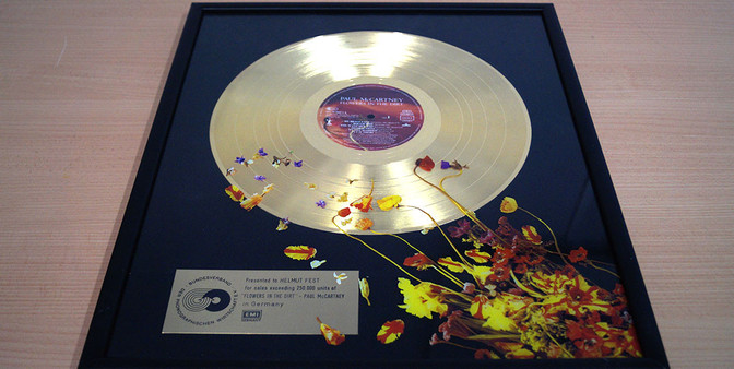 Schallplatte McCartney   Schallplatte McCartney