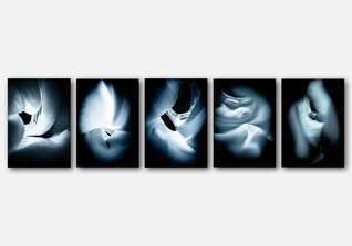 Schiesser Stefan Groh   Schiesser Stefan Groh