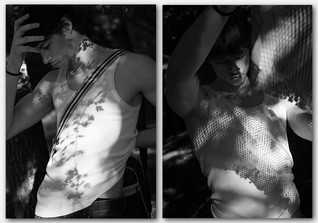 Schiesser Verschmelzung   Schiesser Verschmelzung