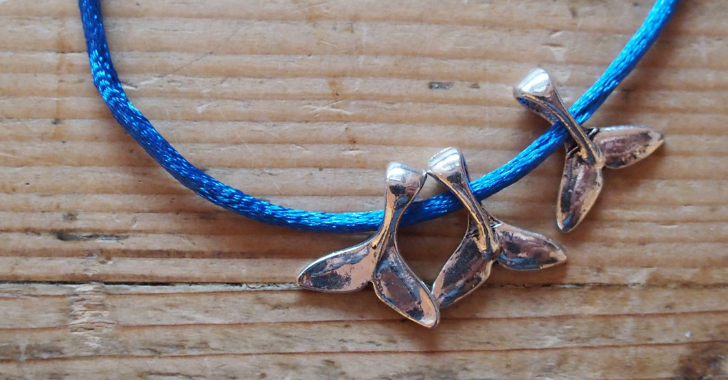  Schildkröten Patenschaft 