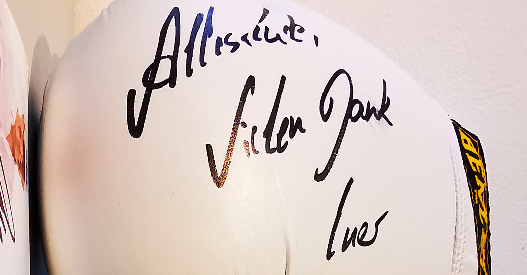  Schulz Boxhandschuhe 