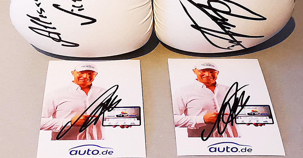  Schulz Boxhandschuhe 