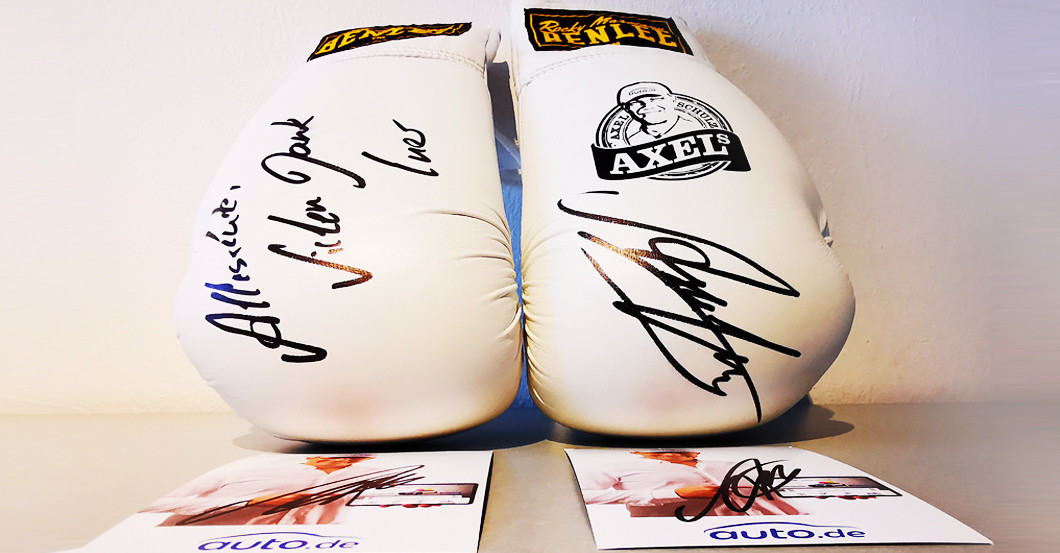  Schulz Boxhandschuhe 