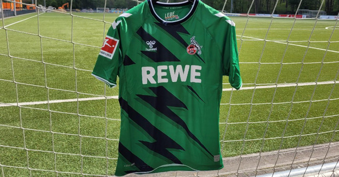  Schwäbe Trikot Hoffenheim 