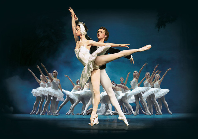  Schwanensee exklusiv 