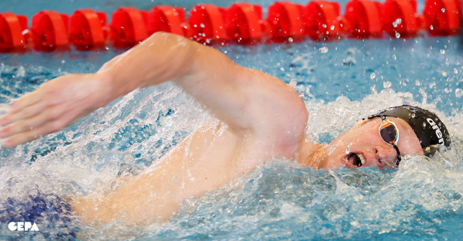 Schwimm-Workshop Auböck   Schwimm-Workshop Auböck