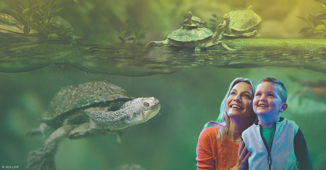 SEA LIFE Oberhausen   SEA LIFE Oberhausen