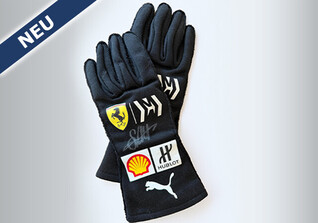  SGP Vettel Handschuhe 