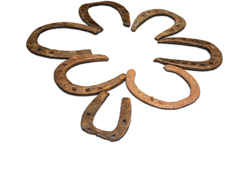 Show-Tag Europa-Park   Show-Tag Europa-Park