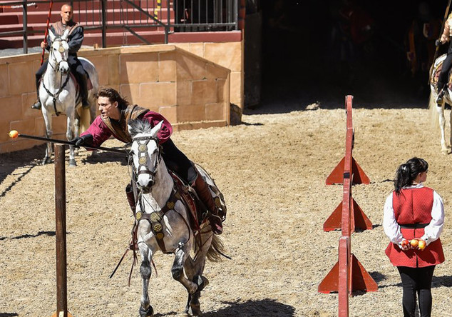 Show-Tag Europa-Park   Show-Tag Europa-Park