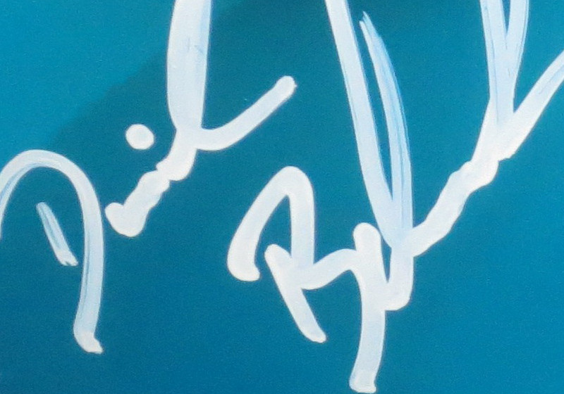  Signierter uvex-Helm 