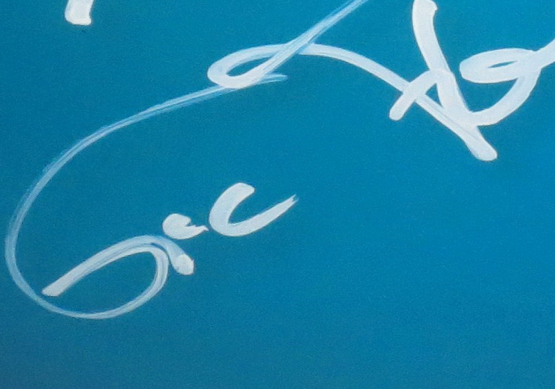  Signierter uvex-Helm 