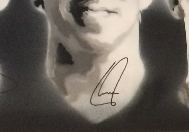  Signiertes WM-Kunstwerk 