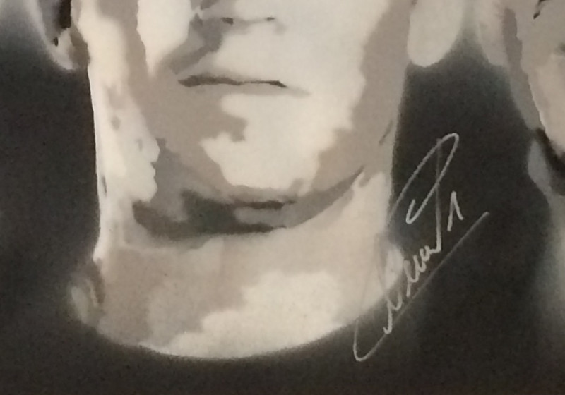  Signiertes WM-Kunstwerk 