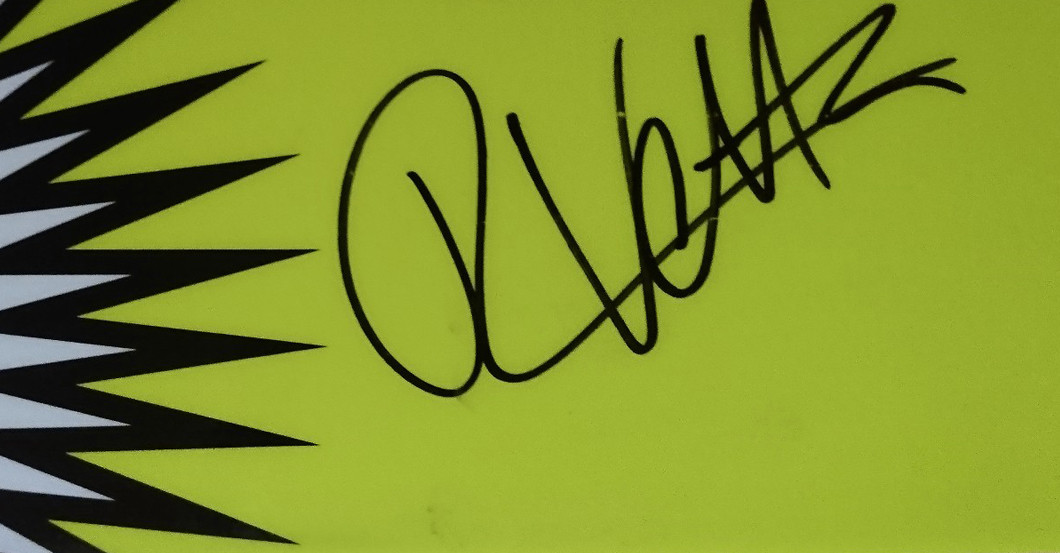  Skisprung Ski signiert 