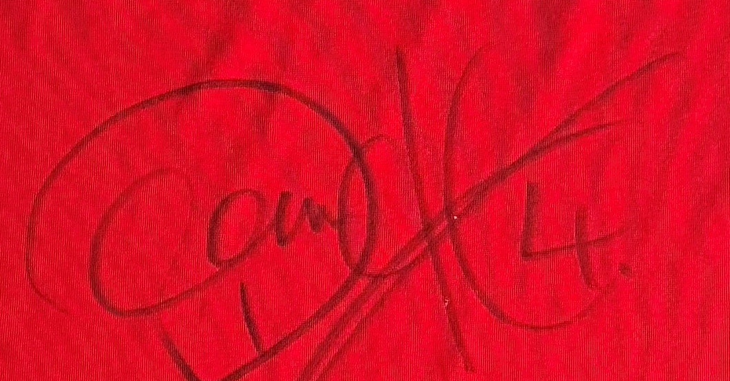  SO Mertesacker Trikot 