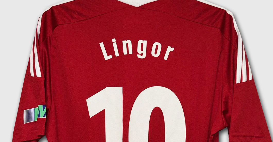 Sonder-Trikot von Lingor    Sonder-Trikot von Lingor