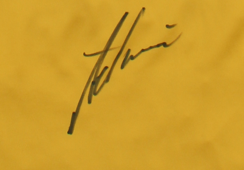 Sondertrikot Ademi   Sondertrikot Ademi