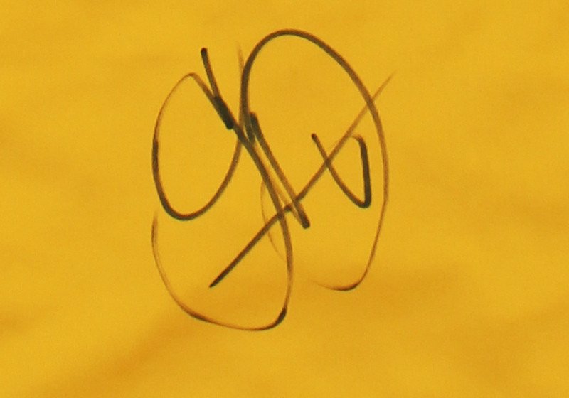 Sondertrikot Decarli   Sondertrikot Decarli