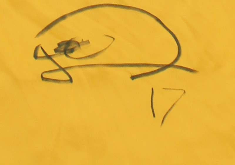 Sondertrikot Ofosu Ayeh   Sondertrikot Ofosu Ayeh