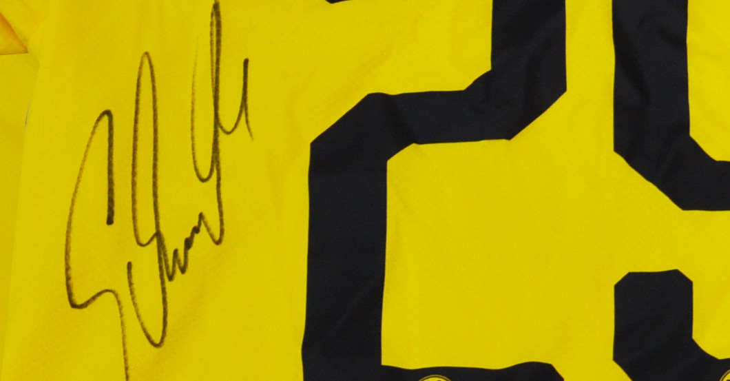 Sondertrikot Schmelzer   Sondertrikot Schmelzer