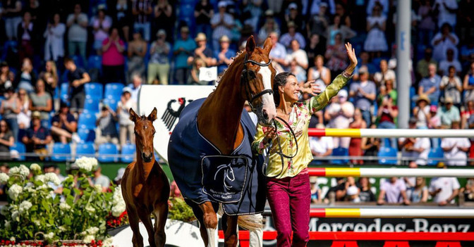  Speaker 17 Pferde Seminar 