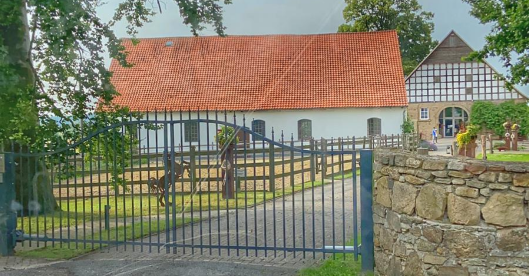  Speaker 9 Coaching Tiere 