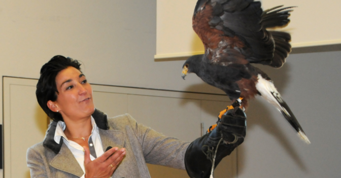  Speaker 9 Coaching Tiere 