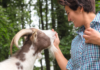  Speaker 9 Tiere Coaching  